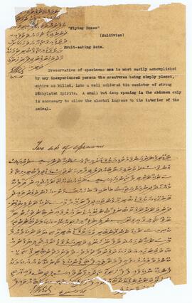 R00780_H; ޝްރީލަންކާ – ކޮލްޕިޓިޔަ - ދިވެހި އެންބަސީ - ސިޓީއެއް